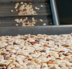  Smart Nuts Sorting Machine